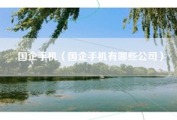 国企手机（国企手机有哪些公司）