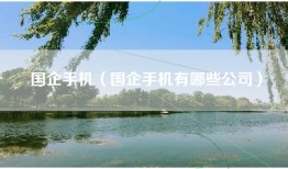 国企手机（国企手机有哪些公司）