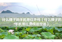 什么牌子的手机带红外线（什么牌子的手机带红外线遥控器）