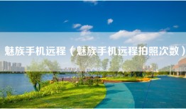 魅族手机远程（魅族手机远程拍照次数）