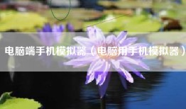 电脑端手机模拟器（电脑用手机模拟器）