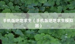 手机版绝地求生（手机版绝地求生模拟器）