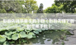 影音先锋苹果手机下载（影音先锋下载到苹果手机）