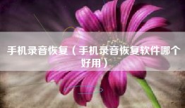 手机录音恢复（手机录音恢复软件哪个好用）