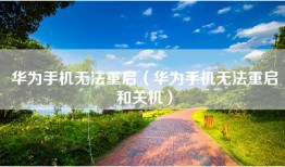 华为手机无法重启（华为手机无法重启和关机）