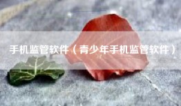 手机监管软件（青少年手机监管软件）