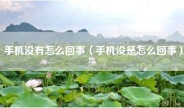 手机没有怎么回事（手机没是怎么回事）