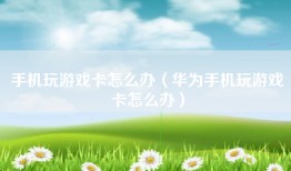 手机玩游戏卡怎么办（华为手机玩游戏卡怎么办）