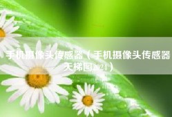 手机摄像头传感器（手机摄像头传感器天梯图2024）