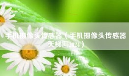 手机摄像头传感器（手机摄像头传感器天梯图2024）