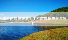 手机陀螺仪失灵（手机陀螺仪失灵会怎样）