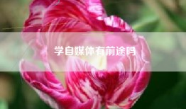 学自媒体有前途吗