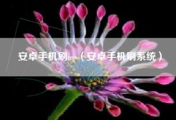 安卓手机刷ios（安卓手机刷系统）