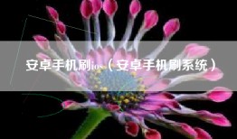 安卓手机刷ios（安卓手机刷系统）