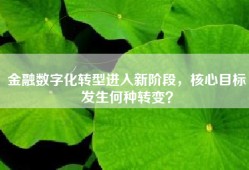 金融数字化转型进入新阶段，核心目标发生何种转变？