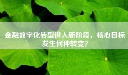 金融数字化转型进入新阶段，核心目标发生何种转变？