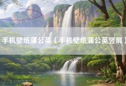手机壁纸蒲公英（手机壁纸蒲公英竖屏）