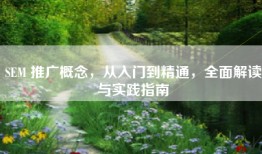 SEM 推广概念，从入门到精通，全面解读与实践指南
