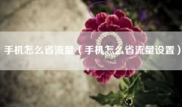 手机怎么省流量（手机怎么省流量设置）