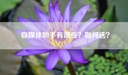 自媒体助手有哪些？如何选？