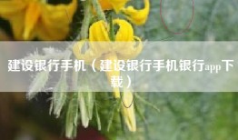 建设银行手机（建设银行手机银行app下载）