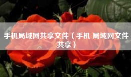 手机局域网共享文件（手机 局域网文件共享）