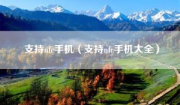 支持nfc手机（支持nfc手机大全）
