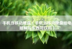 手机当移动硬盘（手机当移动硬盘给电脑解压东西可以吗）