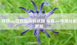 穿搭app信息架构树状图 穿搭app市场分析数据