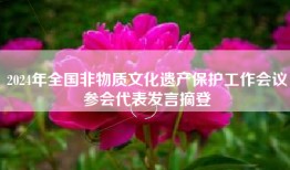 2024年全国非物质文化遗产保护工作会议参会代表发言摘登