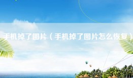 手机掉了图片（手机掉了图片怎么恢复）