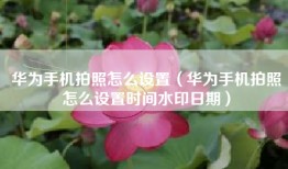 华为手机拍照怎么设置（华为手机拍照怎么设置时间水印日期）
