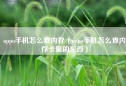 oppo手机怎么查内存（oppo手机怎么查内存卡里的东西）