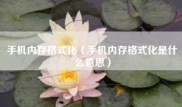 手机内存格式化（手机内存格式化是什么意思）