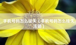 手机号码怎么挂失（手机号码怎么挂失注销）