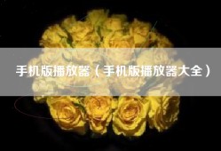 手机版播放器（手机版播放器大全）