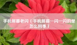 手机屏幕老闪（手机屏幕一闪一闪的是怎么回事）