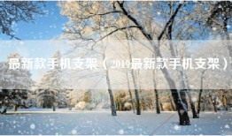 最新款手机支架（2019最新款手机支架）