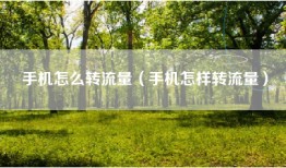 手机怎么转流量（手机怎样转流量）