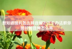 想知道图片怎么转音频？三个办法教你图片转音频怎么弄