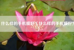什么样的手机膜好（什么样的手机膜好？）