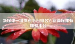 新媒体一键发布平台排名？新闻媒体有哪些平台