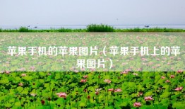苹果手机的苹果图片（苹果手机上的苹果图片）