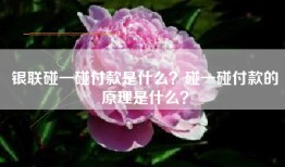 银联碰一碰付款是什么？碰一碰付款的原理是什么？