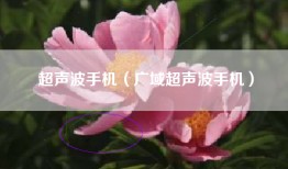 超声波手机（广域超声波手机）