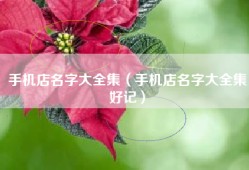 手机店名字大全集（手机店名字大全集好记）
