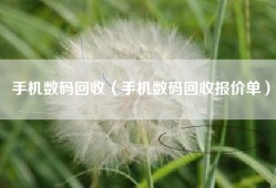 手机数码回收（手机数码回收报价单）