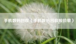 手机数码回收（手机数码回收报价单）