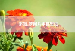 哆啦a梦图片手机壁纸