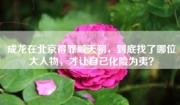 成龙在北京得罪臧天朔，到底找了哪位大人物，才让自己化险为夷？